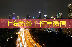 上海419论坛：面朝大海：上海的海边活动