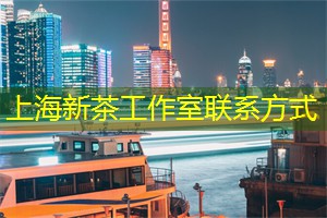 探索上海街头的美食摊位